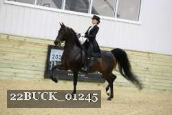 22BUCK_01245 proof