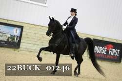 22BUCK_01246 proof