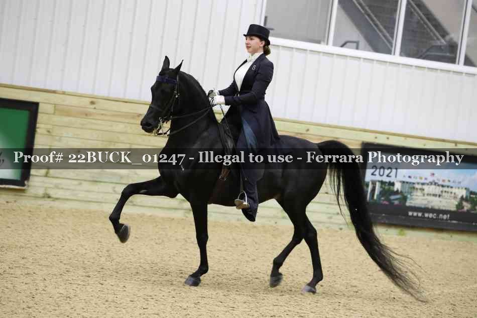 Proof 22BUCK_01247