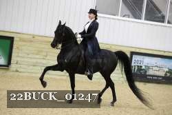 22BUCK_01247 proof