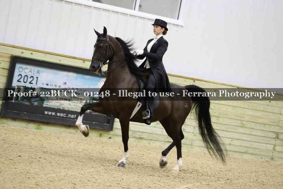 Proof 22BUCK_01248