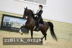 22BUCK_01248 proof