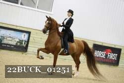 22BUCK_01251 proof