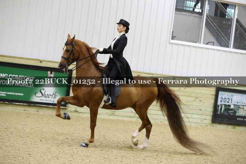 Proof 22BUCK_01252