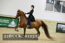 22BUCK_01252 proof