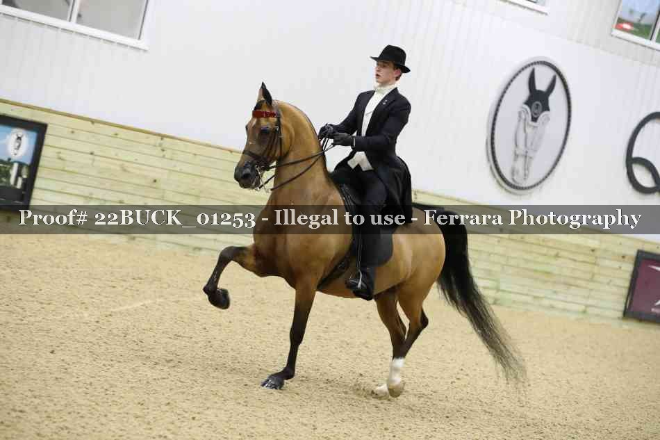 Proof 22BUCK_01253