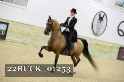22BUCK_01253 proof