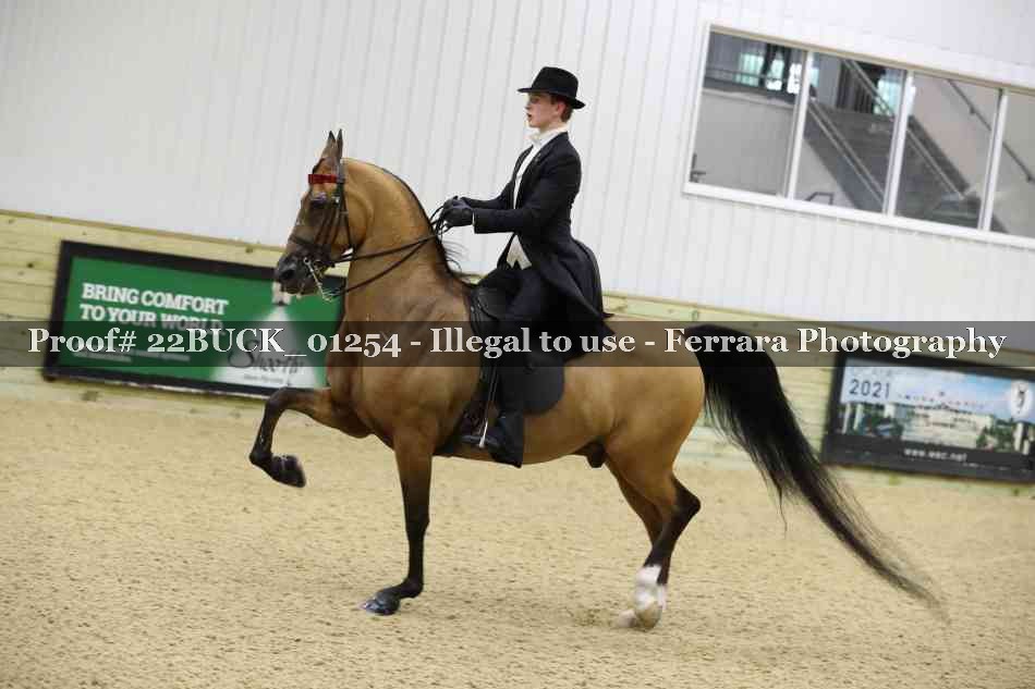 Proof 22BUCK_01254