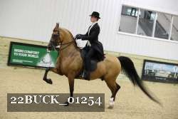 22BUCK_01254 proof