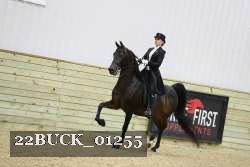 22BUCK_01255 proof