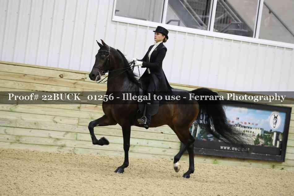 Proof 22BUCK_01256