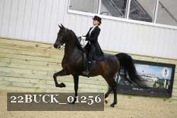 22BUCK_01256 proof