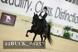 22BUCK_01257 proof