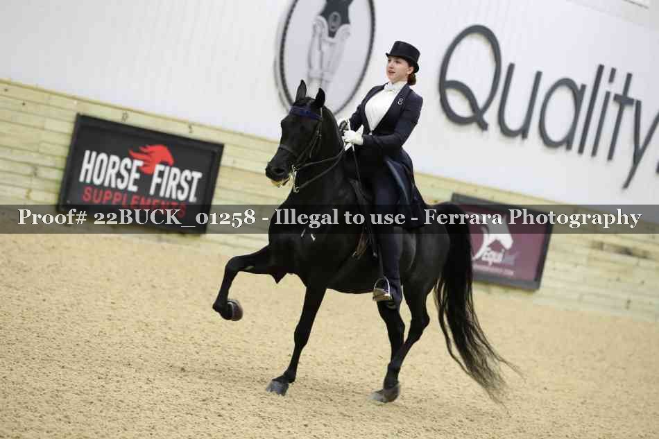 Proof 22BUCK_01258