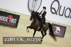 22BUCK_01259 proof