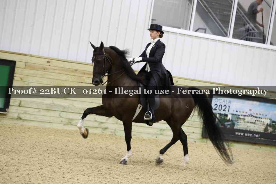 Proof 22BUCK_01261