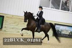 22BUCK_01261 proof