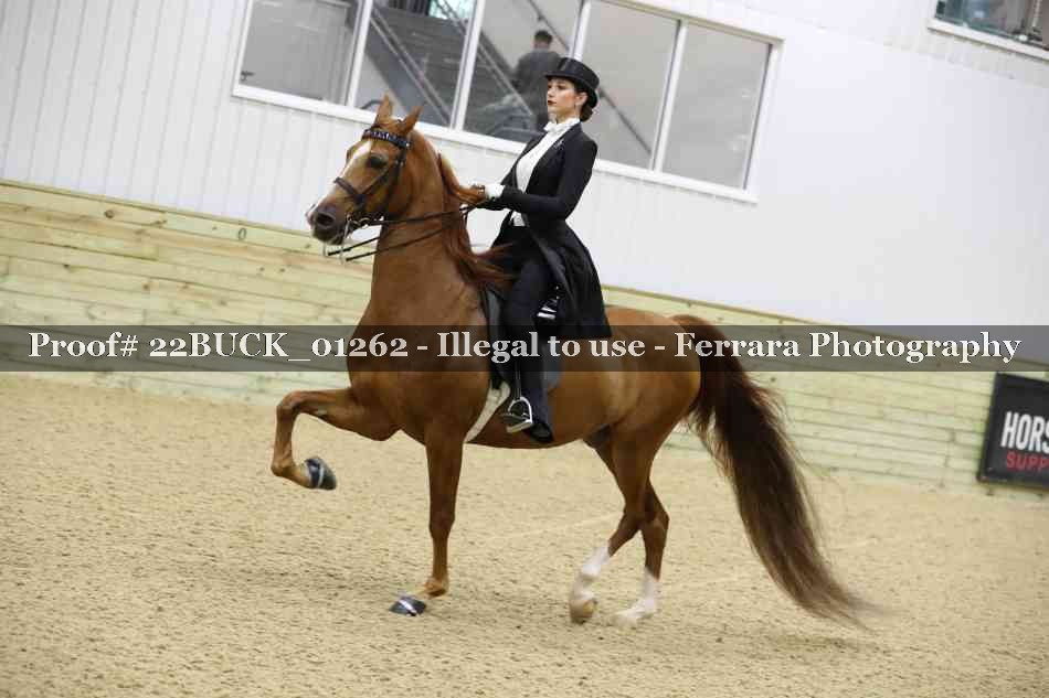 Proof 22BUCK_01262