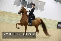 22BUCK_01262 proof