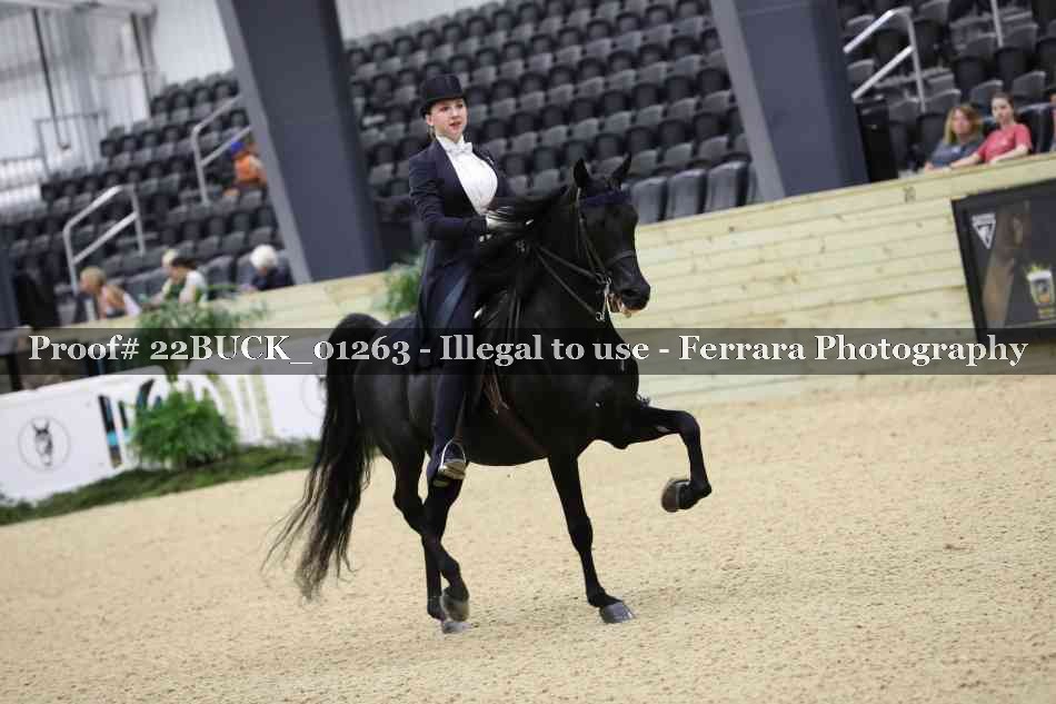 Proof 22BUCK_01263