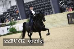 22BUCK_01263 proof
