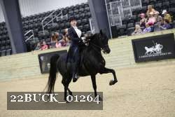 22BUCK_01264 proof