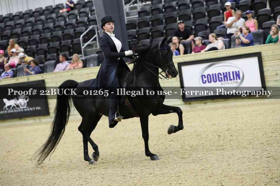 Proof 22BUCK_01265