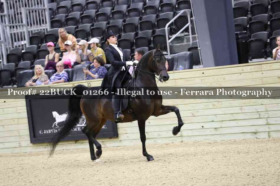 Proof 22BUCK_01266
