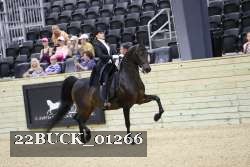22BUCK_01266 proof