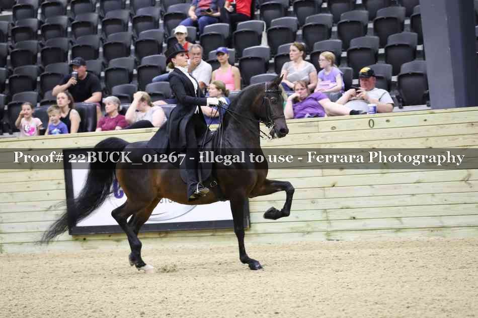 Proof 22BUCK_01267