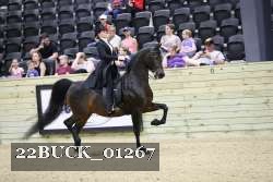 22BUCK_01267 proof