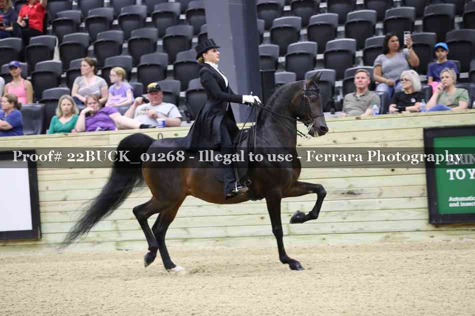 Proof 22BUCK_01268