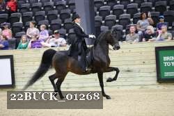 22BUCK_01268 proof