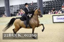 22BUCK_01269 proof