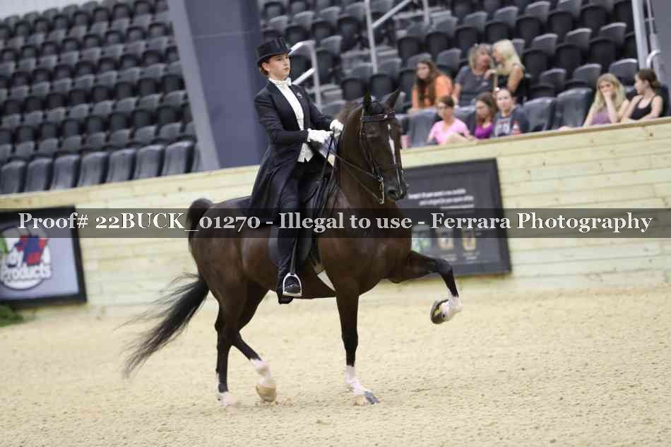Proof 22BUCK_01270