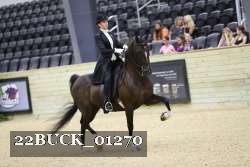 22BUCK_01270 proof