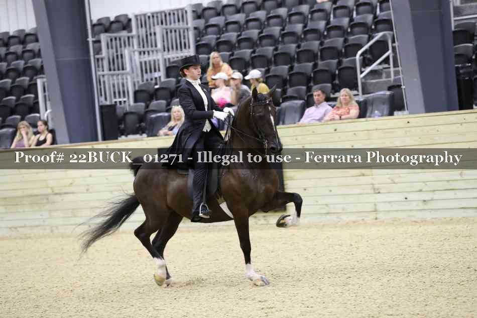 Proof 22BUCK_01271