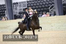 22BUCK_01271 proof