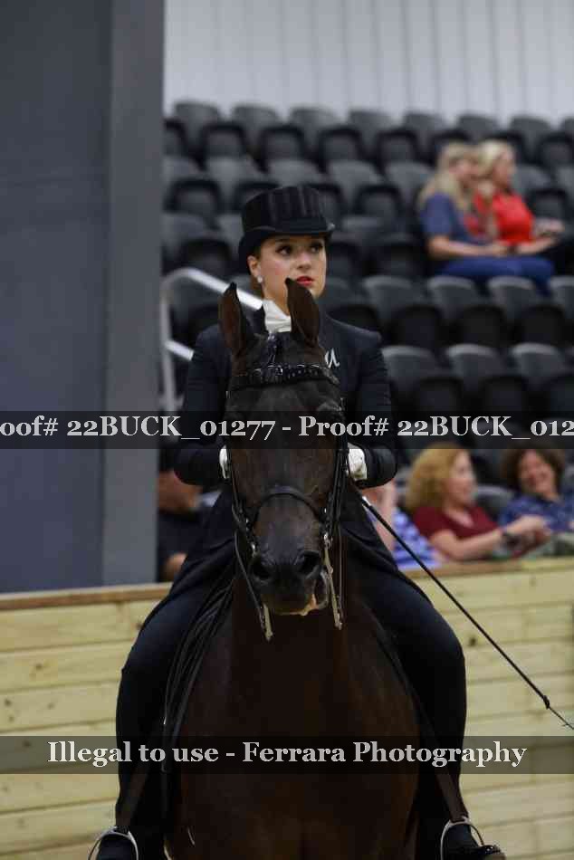 Proof 22BUCK_01277