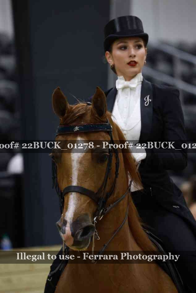 Proof 22BUCK_01278