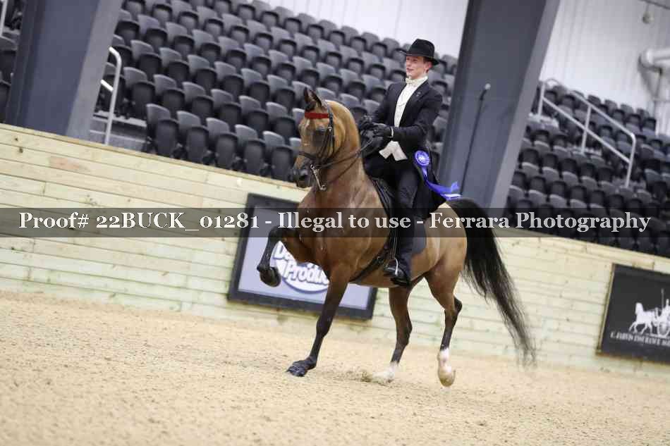 Proof 22BUCK_01281