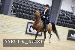 22BUCK_01281 proof