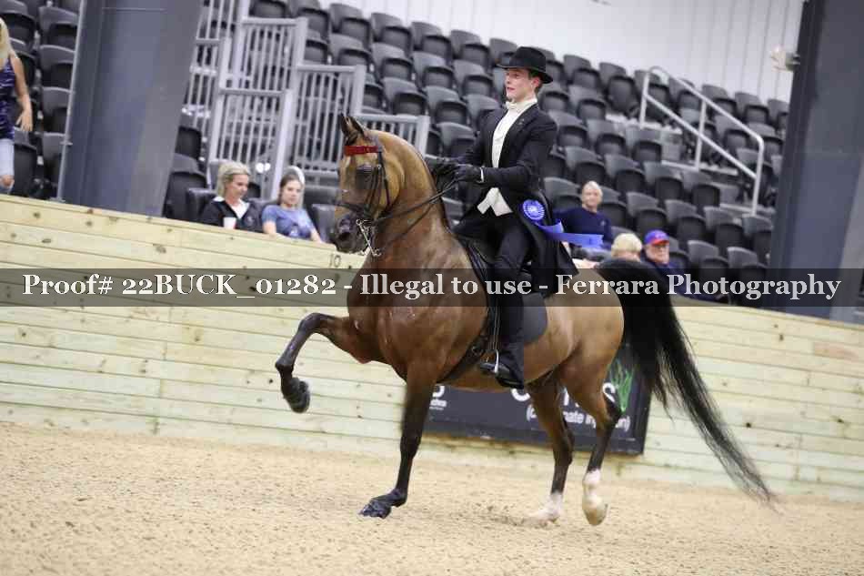 Proof 22BUCK_01282