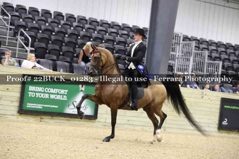Proof 22BUCK_01283