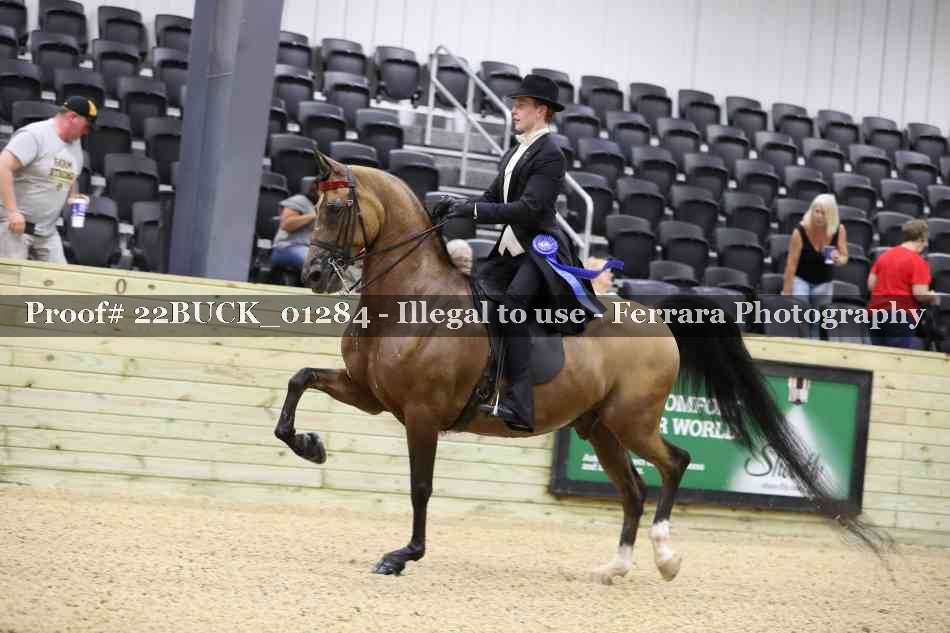 Proof 22BUCK_01284