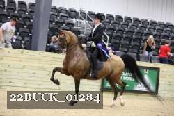 22BUCK_01284 proof