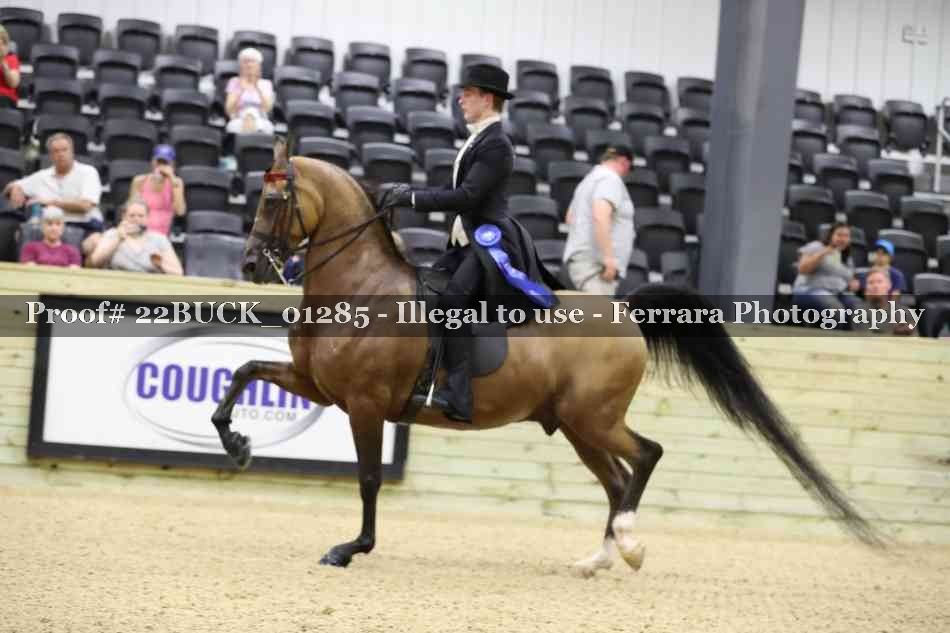 Proof 22BUCK_01285