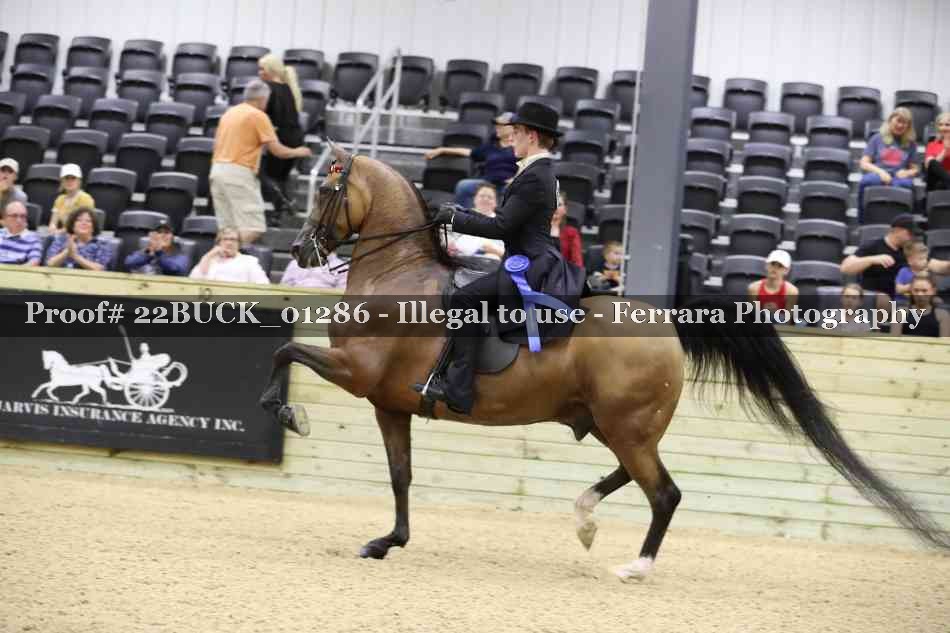 Proof 22BUCK_01286