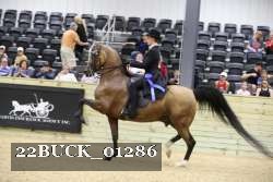 22BUCK_01286 proof