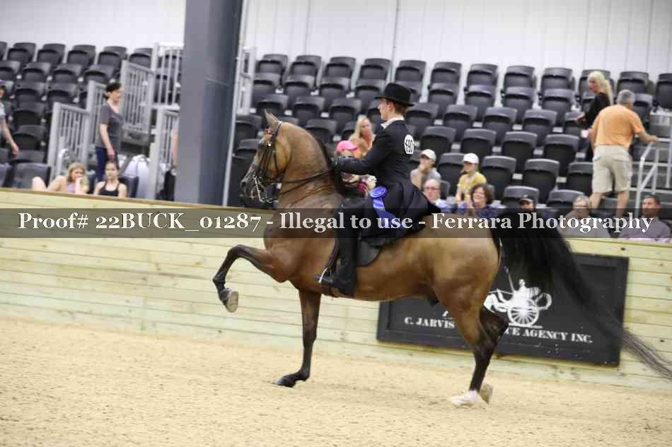 Proof 22BUCK_01287